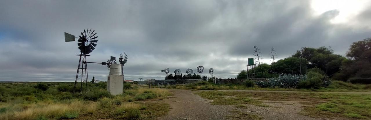 Вилла Three Sons Guest Farm Loxton Экстерьер фото